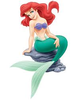 Ariel Image