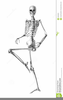 Free Halloween Skeleton Clipart Image
