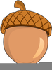 Acorn Clipart Image