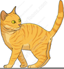 Free Clipart Tabby Cat Image