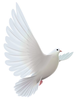 White Doves Clipart Image