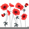 Find Clipart For Poppies Image