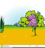 Cartoon Grass Clipart Free Image