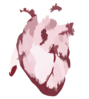 Heart Vintageanatomy Graphicsfairy Red Clip Art