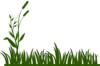 Grass1 Clip Art