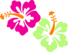 Hibiscus Clip Art