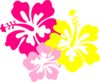 Hibiscus Pink Yellow Clip Art