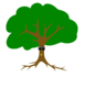 Tree Clip Art