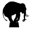 Circus Elephants Clipart Image