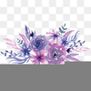 Clipart Of Purple Roses Image