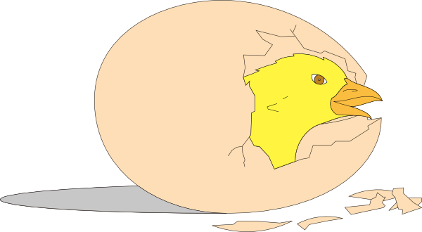 chick hatching clipart - photo #2