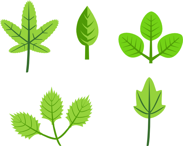 clipart leaf images - photo #37