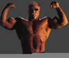 Wrestler Scott Steiner Image