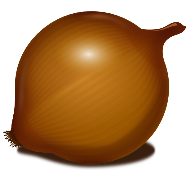 clipart of onion - photo #13