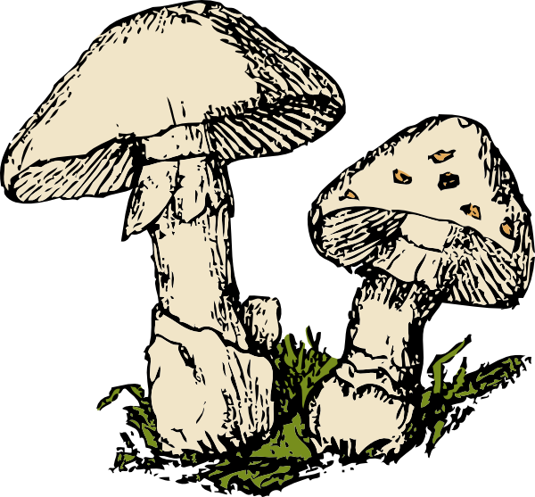 mushroom clip art images - photo #37