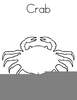 Horseshoe Crab Clipart Image
