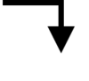 Right Ws Image