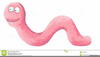 Free Clipart Earthworm Image