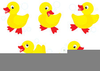 Mother Duck And Ducklings Clipart Image