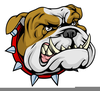 Mean Bulldog Clipart Image