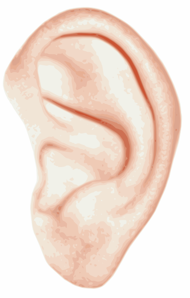 Human Ear Clip Art at Clker.com - vector clip art online, royalty free