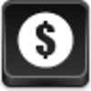 Dollar Coin Icon Image