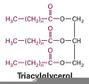 Triglyceride Diagram Simple Image