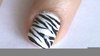 Zebra Print Nails Image