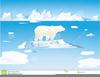 Clipart Of Polar Bears Image