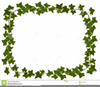 Christmas Graphics Clipart Ivy Image