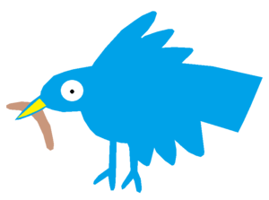 Bird  Image