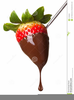 Chocolate Dipped Strawberry Clipart Image