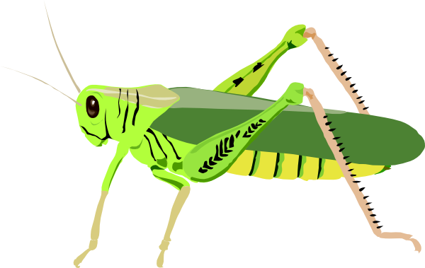 animated insect clipart - photo #33