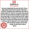 Leo Meaning Image