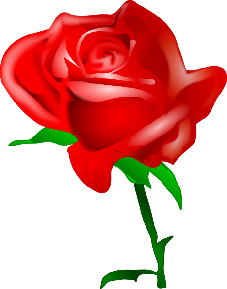 rose photo clipart - photo #6