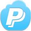 Paypal Icon Image