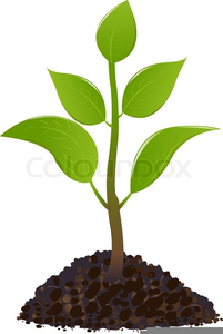 Free Clipart Of Planting Seeds Image