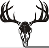 Free Whitetail Deer Clipart Image