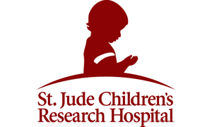 saint jude charity rating
