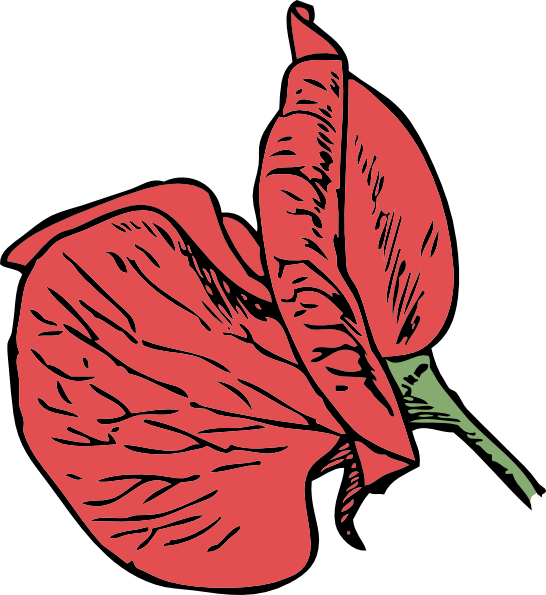 sweet pea clip art at clker com vector clip art online sweet pea clip art at clker com vector clip art online
