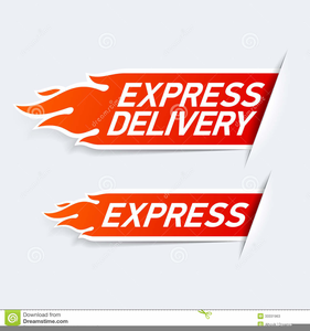 Express Delivery Icon  Free Images at  - vector clip art online,  royalty free & public domain