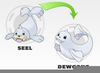 Pokemon Seel Evolution Image