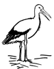 Stork Image Clipart Image