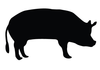 Show Pig Clipart Image