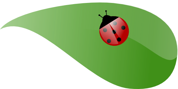 green ladybug clipart - photo #47