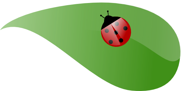 Lady Bug On Leaf clip art - vector clip art online, royalty free & public