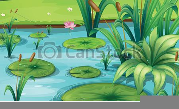 Fish Pond Clipart  Free Images at  - vector clip art online,  royalty free & public domain