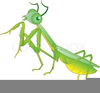 Cute Ant Grasshopper Clipart Image