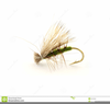 Dry Fly Clipart Image