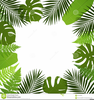 Palm Leaves Clipart Image